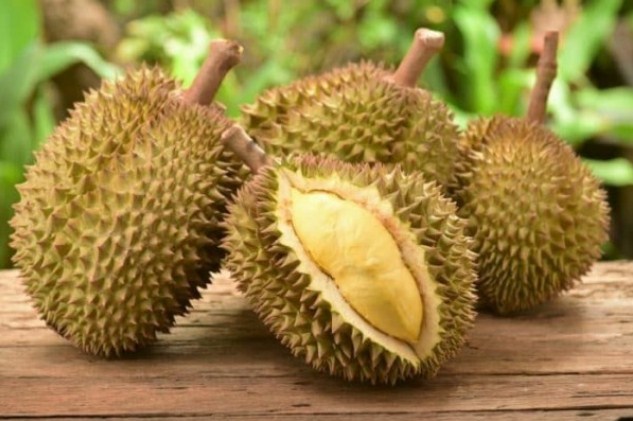 √ 5 Cara Menanam Buah Durian Terlengkap