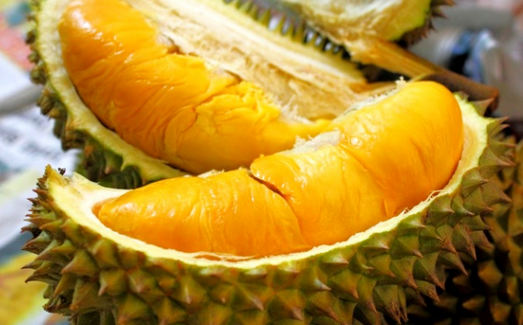 √ 5 Cara Budidaya Durian Bawor Terlengkap