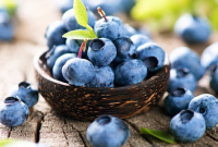 √ 5 Langkah Mudah Budidaya Blueberry Terlengkap